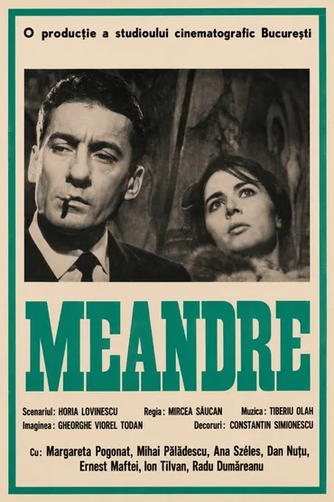3 x Mircea Săucan: Meandre