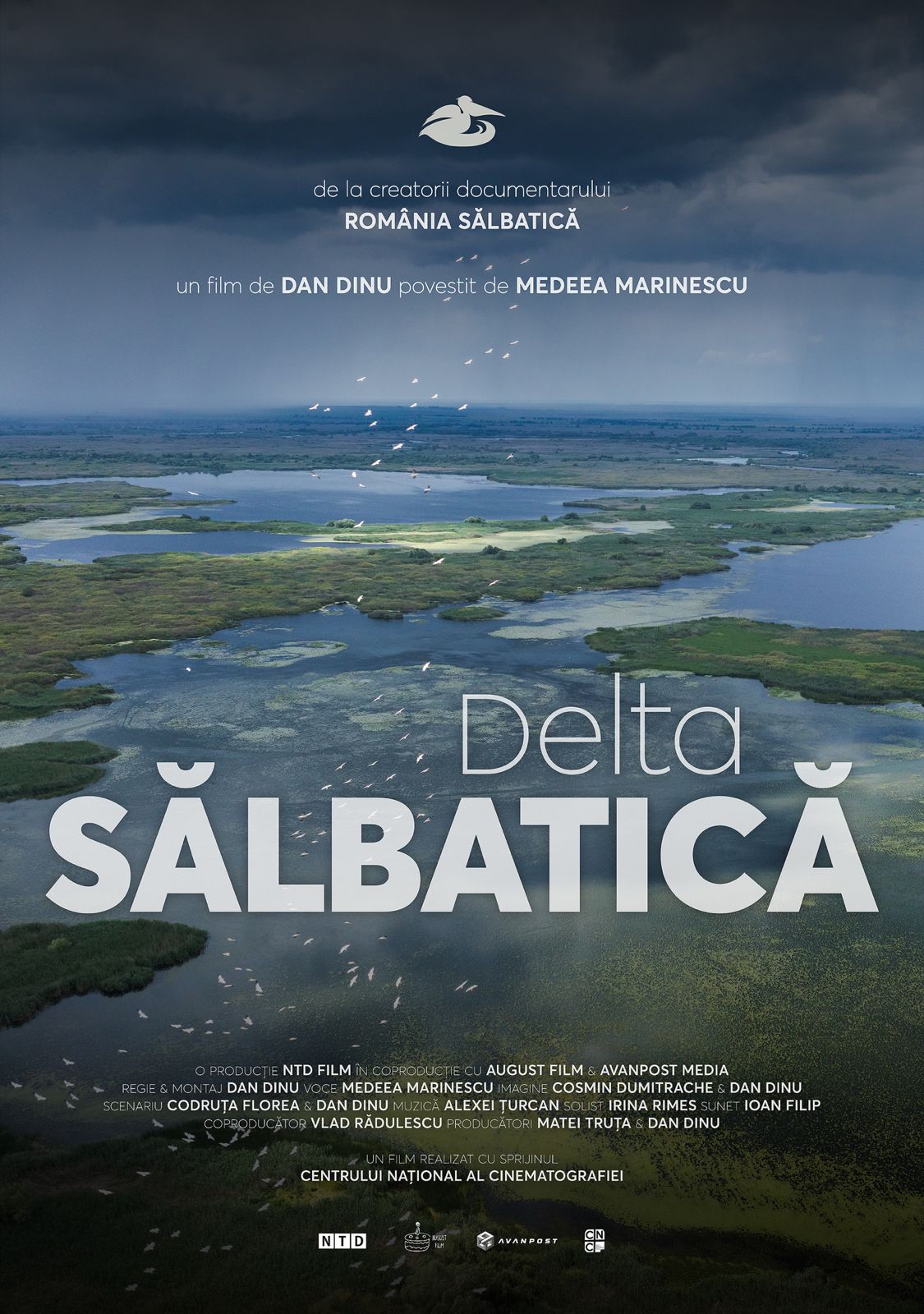 Delta sălbatică
