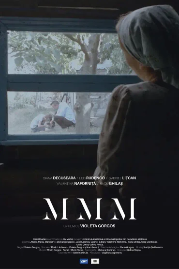 MMM + Discuție