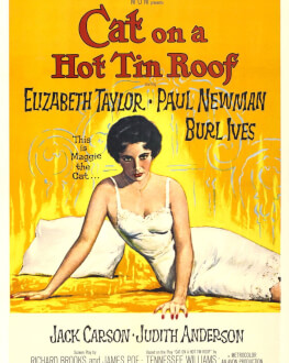 PISICA PE ACOPERIȘUL FIERBINTE / CAT ON A HOT TIN ROOF