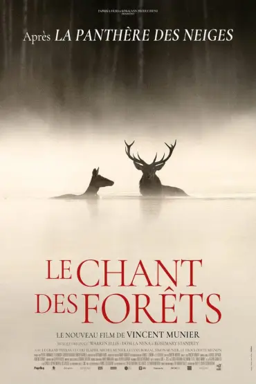 LE CHANT DES FORÊTS / ȘOAPTE ÎN PĂDURE