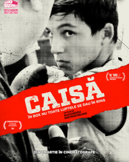 Caisă