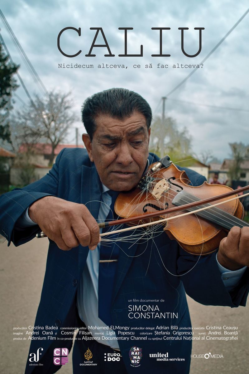 Caliu: Nicidecum altceva, ce să fac altceva?