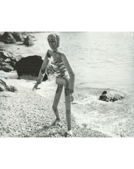 GALAX, OMUL PĂPUȘĂ / GALAX