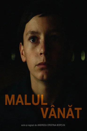 MALUL VÂNĂT / A RIVER'S GAZE