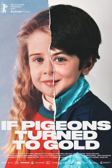 If Pigeons Turned to Gold