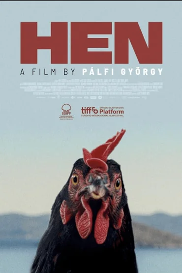 HEN / GĂINĂ