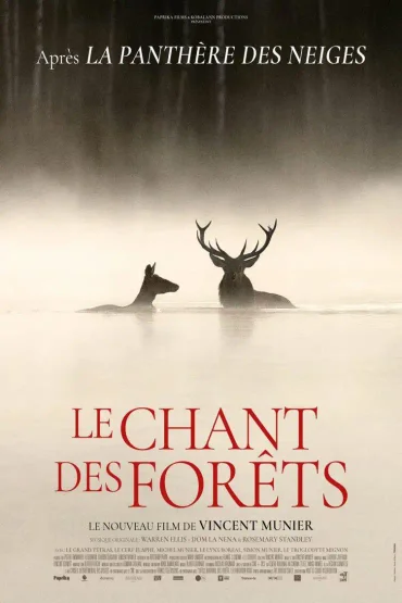 LE CHANT DES FORÊTS / CÂNTECUL PĂDURII