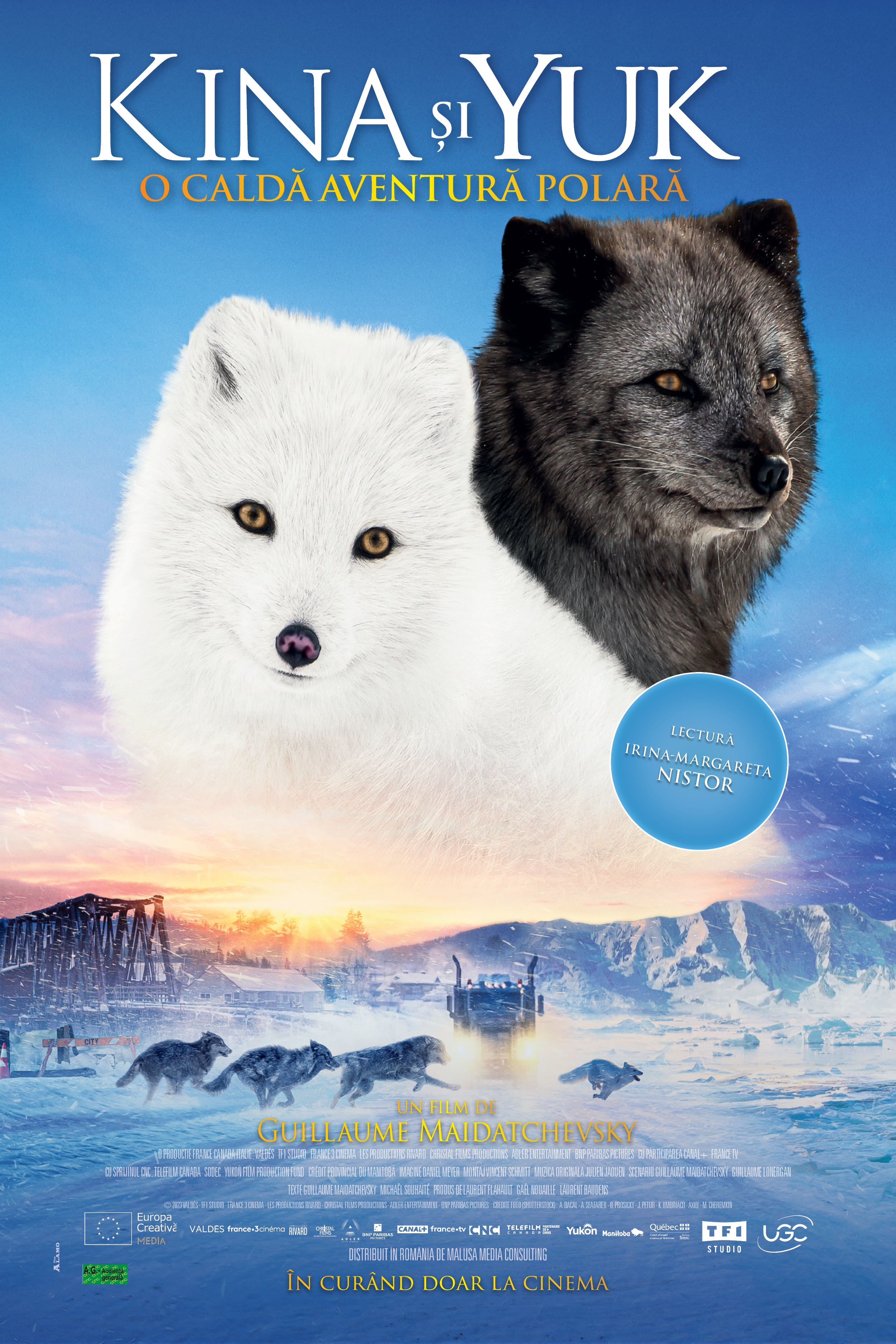 Kina și Yuk – o caldă aventură polară