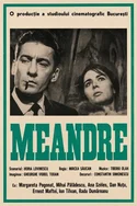 Poster pentru 3 x Mircea Săucan: Meandre