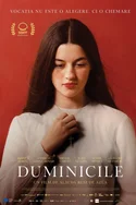Duminicile Poster