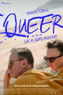 Poster pentru Queer
