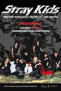 Poster pentru Stray Kids World Tour <RUN IT> LIVE VIEW