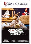 Capra cu trei iezi (Spectacol Teatru Proiectat) Poster
