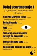 Colaj Scurtmetraje 1 Poster