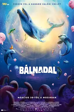 Bálnadal Poster