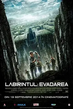 LABIRINTUL: EVADAREA / THE MAZE RUNNER Poster