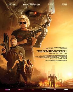 TERMINATOR: DESTIN ÎNTUNECAT / TERMINATOR: DARK FATE Poster