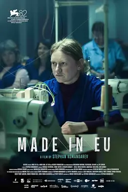 MADE IN EU Poster