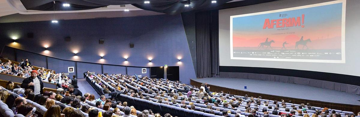 Cinema Teatru Florin Piersic