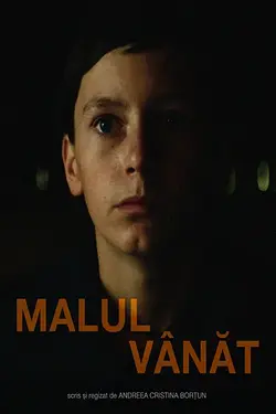 MALUL VÂNĂT / A RIVER'S GAZE Poster