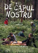 Poster pentru De capul nostru