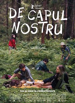 De capul nostru Poster