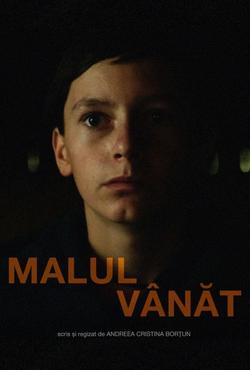 Malul vânăt Poster