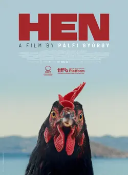 Găina Poster