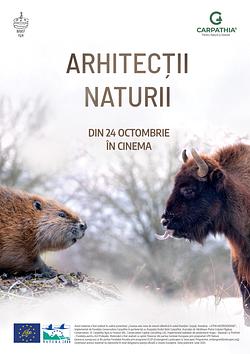 Arhitecții naturii Poster