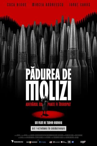 PĂDUREA DE MOLIZI Poster