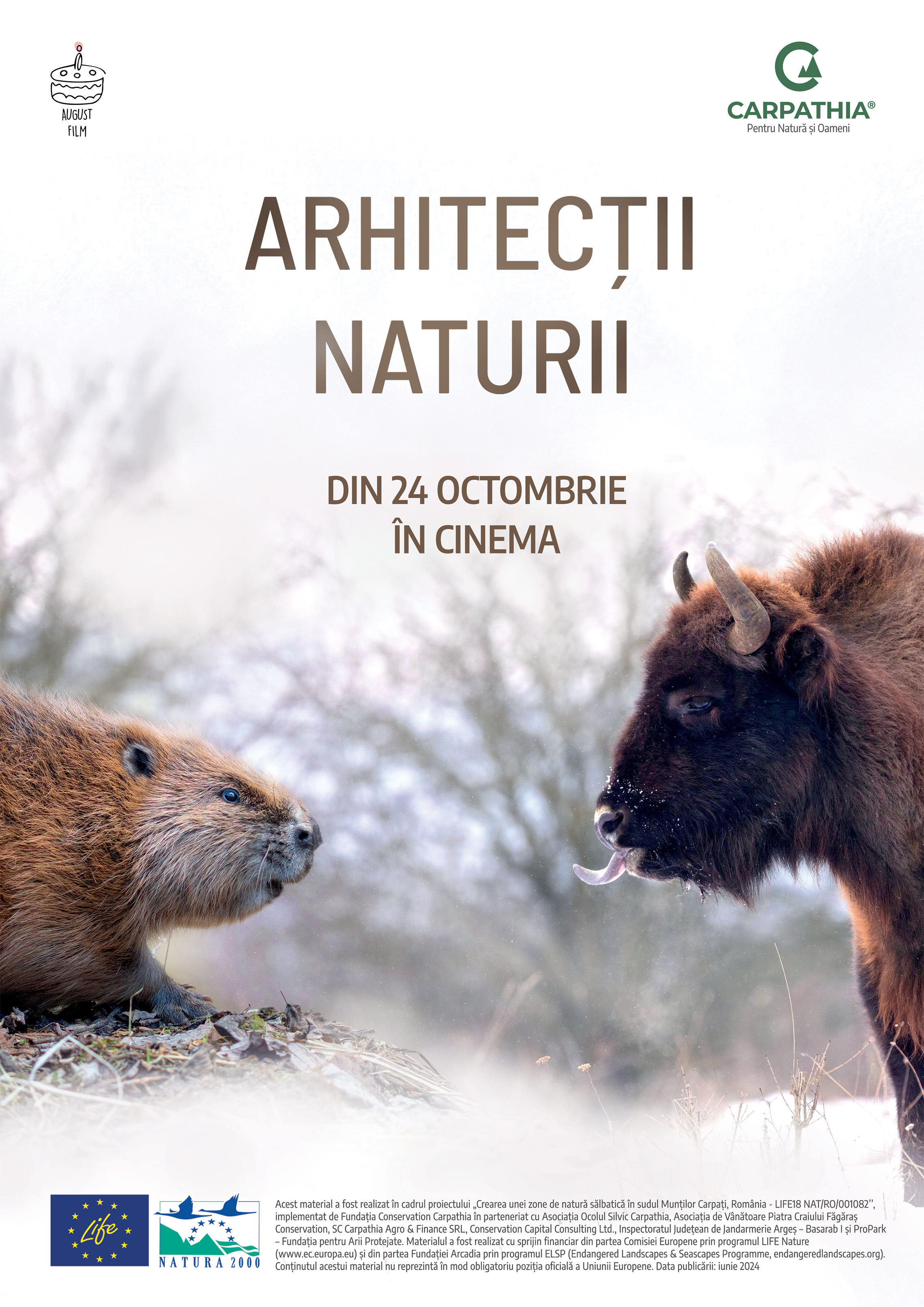 Arhitecții naturii Poster