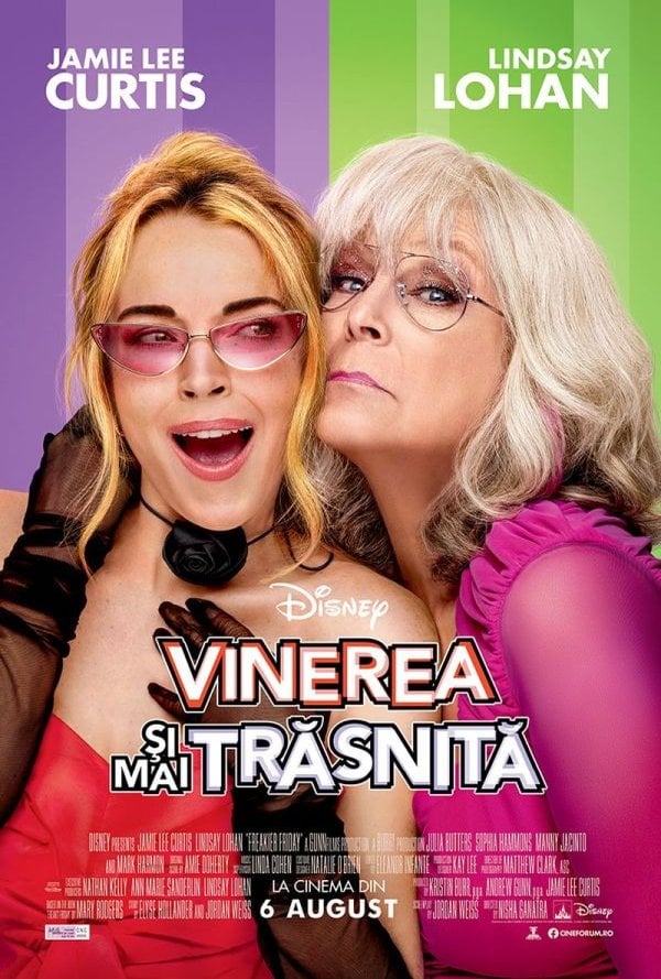 Vinerea si mai trasnita Poster